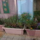 나의 정원 이미지