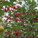 수원-이의-이의-16 이미지