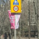 패밀리판타지쇼 | 프린세스 캐치! 티니핑 뮤지컬 관람 찐 후기