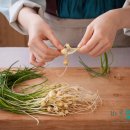 바른숨한의원 이미지