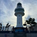 일원본-109 | 묵호 핫플 도째비골 스카이밸리 미끄럼틀, 직접 타본 솔직 후기