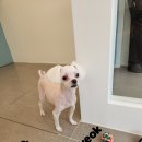 송내동3 이미지