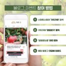 샤인커머스