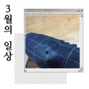 임정호스시 | <3월의 일상> 이 나이에 우당탕탕한 3월(+스압주의)
