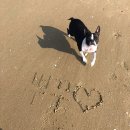 장삼포민박 이미지