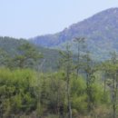 화순 부춘정 이미지