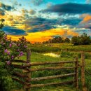 평화목장 이미지