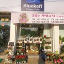 꽃블루코프