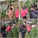 올리브나무어린이집 이미지