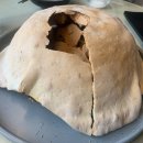 옥상휴게소 이미지