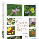 황소와나비 이미지