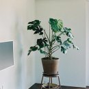 땡큐드라이버 스테이 이미지