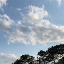 달돋이마을 이미지