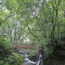 안나하우스벨리 이미지