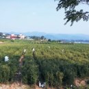 동안농장 이미지