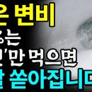 죽을 때까지 숙변 안쌓이는 음식 3가지! 치매 위험 높이는 변비약 대신 &#39;이것&#39; 드세요! 묵은 변 콸콸 쏟아집니다!! 이미지