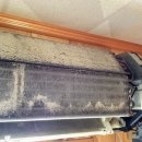 율하바른의원 이미지