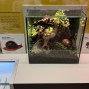 트리케라톱스-1 | [멜버른 박물관 후기] 트리케라톱스·공룡 퍼레이드·포레스트 갤러리 완전 정복