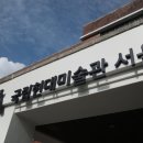 ㈜삼성우등관광 | 정영선 조경가: 이 땅에 숨 쉬는 모든 것을 위하여 관람 후기, 국립현대미술관(2024.4.5.~9.22.)