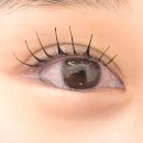 옥정동 폴리프라자ⅴ | 양주 옥정동 속눈썹 펌 속눈썹연장 잘하는곳 레나뷰티