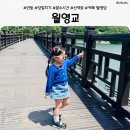 아이와 안동 당일치기 여행｜월영교 산책 후기 및 분수 운영시간