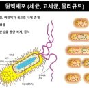 강원대학교 녹색생명산업정책대학원 이미지