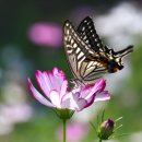 마음의 문 이미지