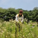 태을초교 이미지