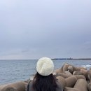 하모리-47 | 제주도 여행기를 낋여오너라