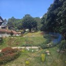 죽림사 | 달랏 죽림사 조용한 산책과 힐링하기 최적의 명소, 직접 다녀온 후기