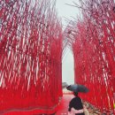 영월 Y파크(술샘박물관) | 영월 아이랑 가볼만한곳 | 젊은달 와이파크, 입구부터 예사롭지 않았어요