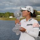 TEAM Y 골프 이미지