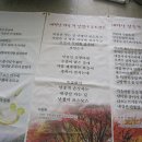 내장산 광장 정읍시립박물관에서 2012. 8 - 10 두달간 전시된 시 배너 저에게 있읍니다. 이미지