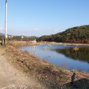 농업회사법인(주) 한국원종 장은농장 Daum카페