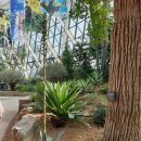 아가베 서울(Agave) 이미지