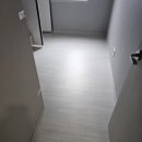 선명방역청소