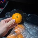 (주)코리아세븐 평창휴게소점 | 계절이 바뀌어도 그대로 있어줘