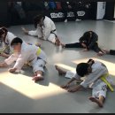 한양대인하태권도 네이버블로그