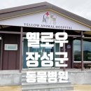 장성동물병원 이미지