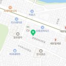 독카펫택시 이미지