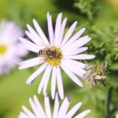 노고단-11 이미지