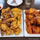 미나리광 이미지