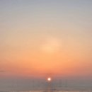 시화태권도장 이미지