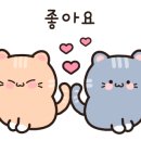 카페 레스토랑 날마다좋은날 이미지