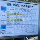 윗장뜰길 60 ~ 광장로 116 | 여수 1박2일 뚜벅이 여행 코스 2탄: 향일암, 제트보트, 갓버터도나스, 꼭대기연탄, 퀸스트리트 카페