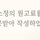 강남 요미독앤캣 강아지 분양 고양이 분양 이미지
