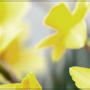 마음건강, 스트레스 해소와 감정조절 이미지