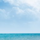 파로스학원 이미지