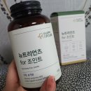 바스큘라비전
