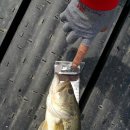 송산2교 이미지